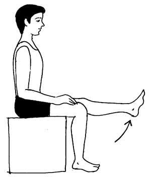 Knee Exercise 8