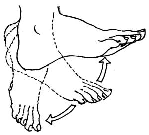 Ankle and Foot Exercise 1